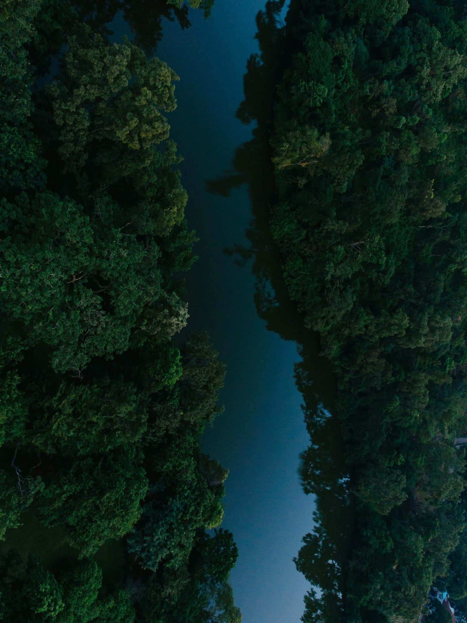 featured-image